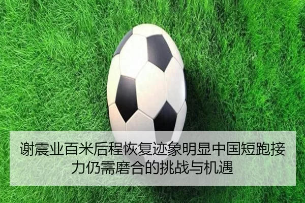 谢震业百米后程恢复迹象明显中国短跑接力仍需磨合的挑战与机遇